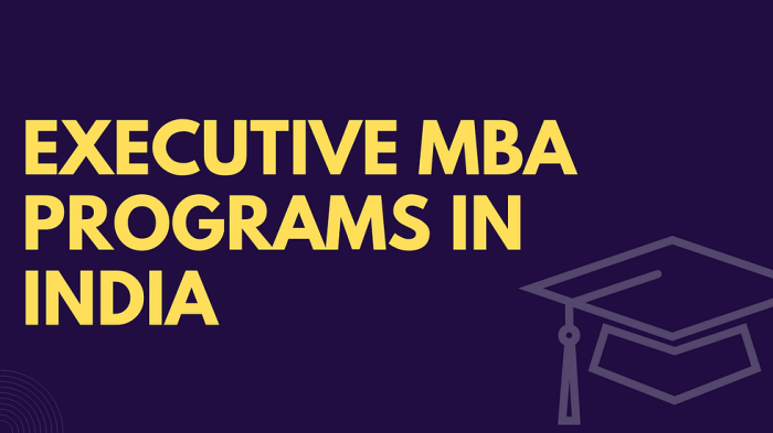MBA Program For Executives