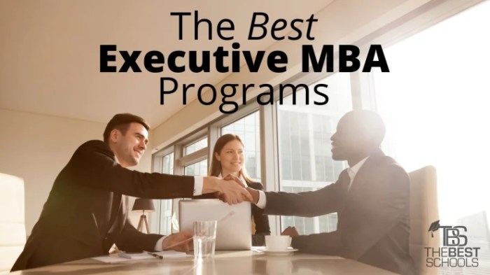 MBA Program For Executives